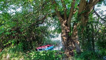 Ein Boot, das an einem Baum an einem Wasserlauf befestigt ist, umgeben von dichtem Grün.