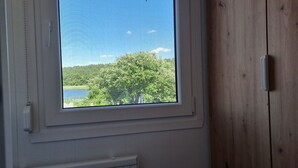 A window with a view of a lake and trees, a white radiator below, and a wooden door to the right.