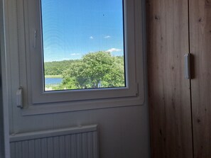 A window with a view of a lake and trees, a white radiator below, and a wooden door to the right.