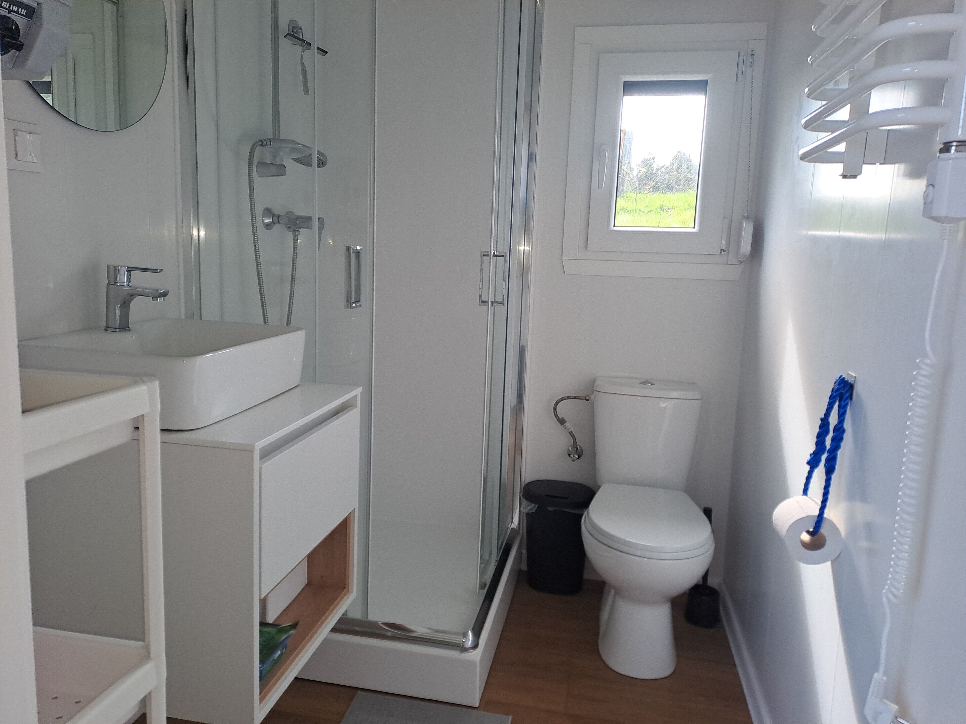 Shower, hair dryer, towels