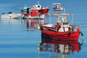 Several boats docked at a calm harbor.