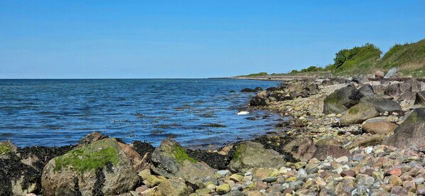 A rocky shoreline with clear blue water, a grassy hill in the background, and a clear sky.