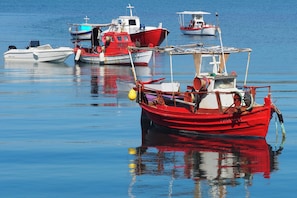 Several boats docked at a calm harbor.