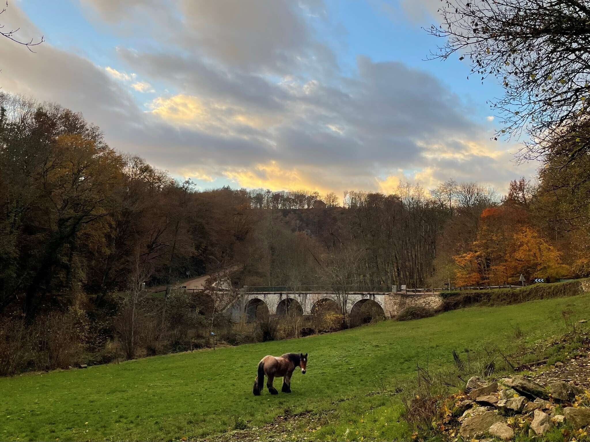 A grassy field with a horse, trees, and a stone bridge in the background.