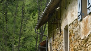 Ein Steinhaus mit einem Hund davor, einem Weg und einer Bank im Hintergrund.