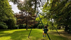 Niño en un columpio en un parque con césped y árboles.