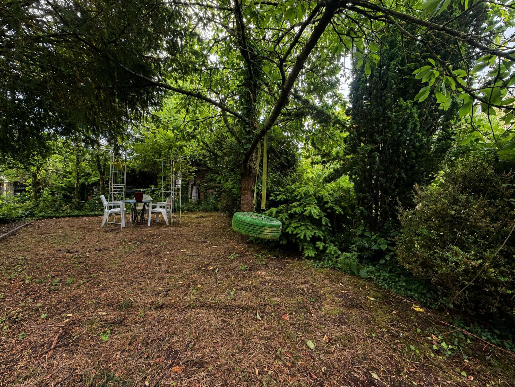 A garden with a table and chairs, surrounded by dense foliage and a tire swing.