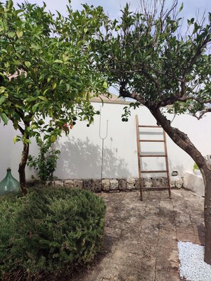 Ein Gartenbereich mit einer an einer Wand angelehnten Leiter, einer grünen Flasche und einem Busch.
