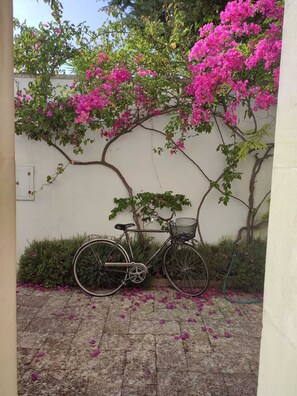 Property grounds - Giurdi Orange Villa (Giurdignano)