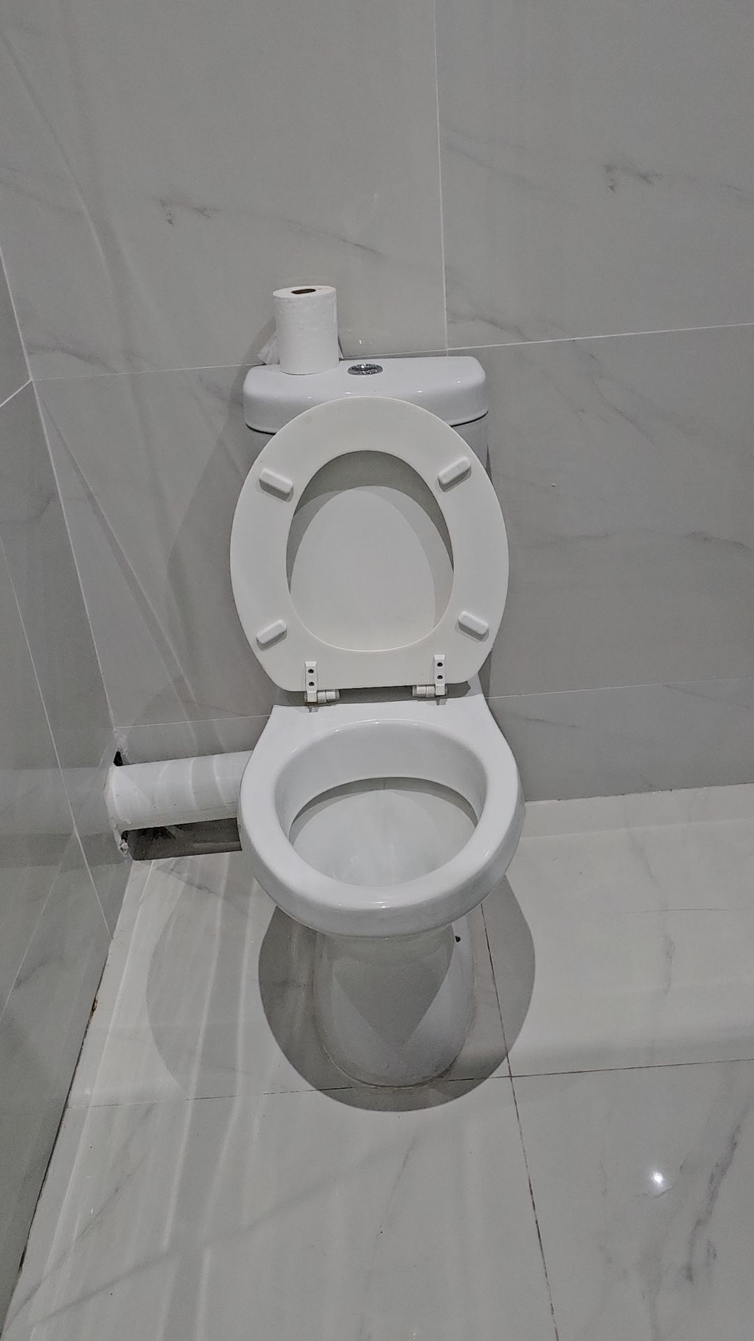 Shower, towels, toilet paper