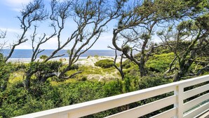A coastal landscape with trees and a beach in the background. - New Oceanfront Jekyll Home • Beach Boardwalk • Fireplace Porch (Jekyll Island)