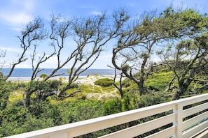 A coastal landscape with trees and a beach in the background.