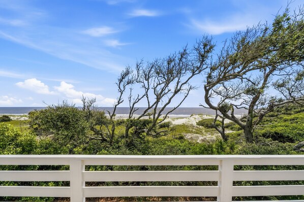Ein weißer Zaun mit Blick auf einen Strand und Bäume im Hintergrund.