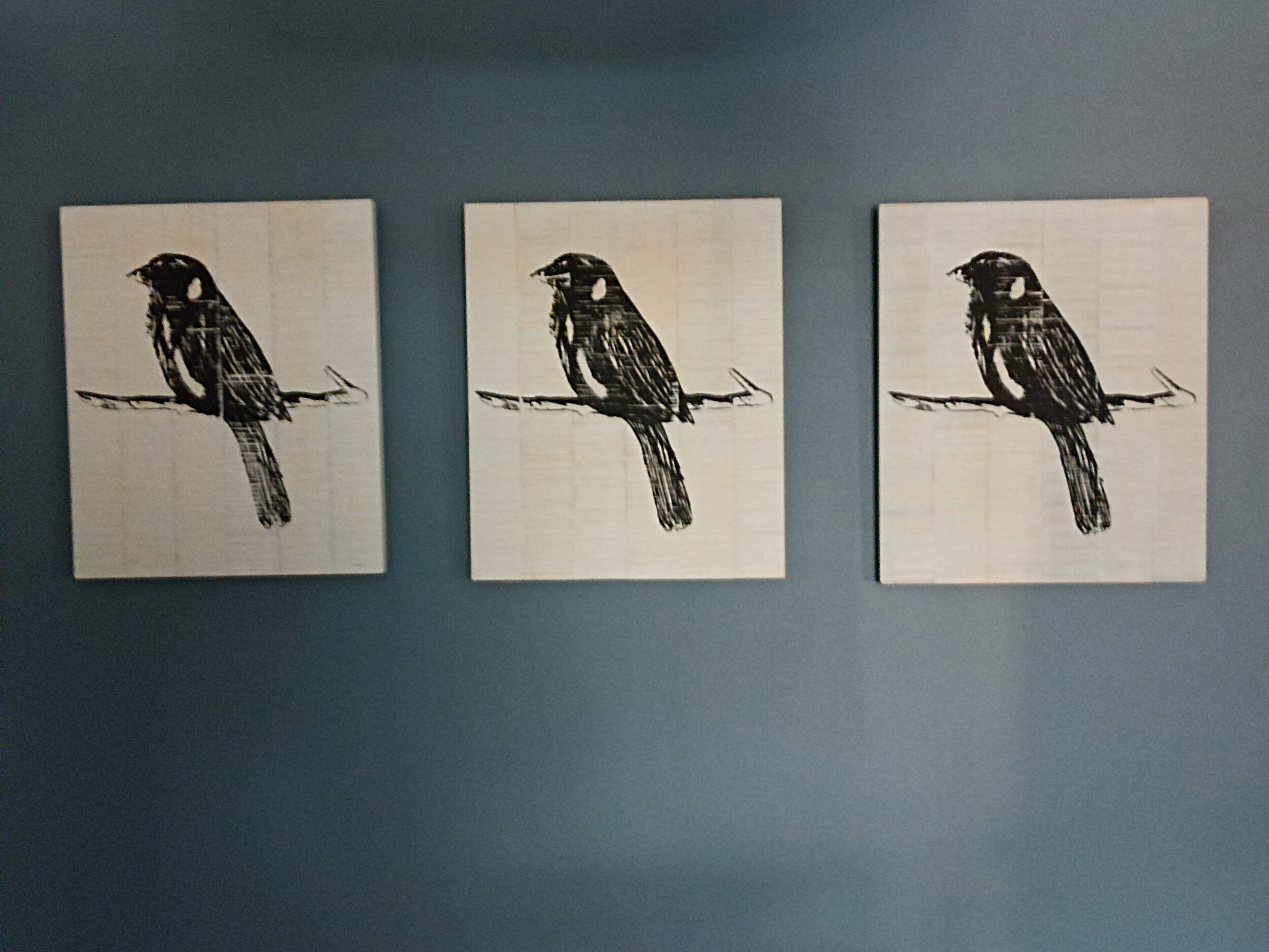 Tres cuadros de pájaros iguales colgados en una pared.