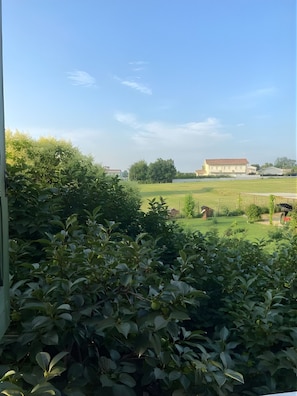 Ein Blick auf eine grüne Landschaft, in der Ferne ein Gebäude zu sehen ist.