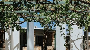 Um pátio com mesa e cadeiras, uma pérgula coberta de trepadeiras e um edifício de pedra ao fundo.