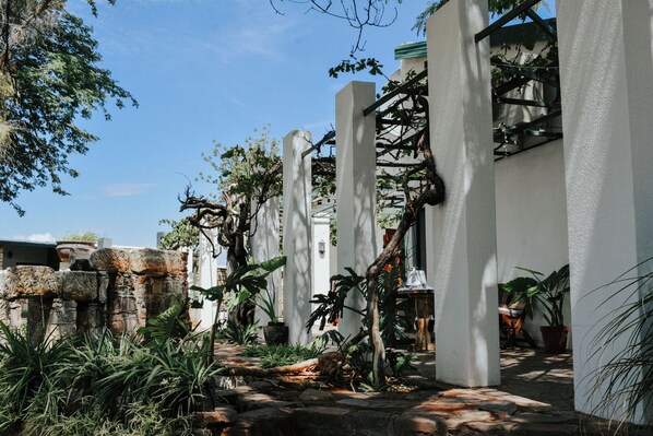 A courtyard with white columns, potted plants, and a stone pathway.