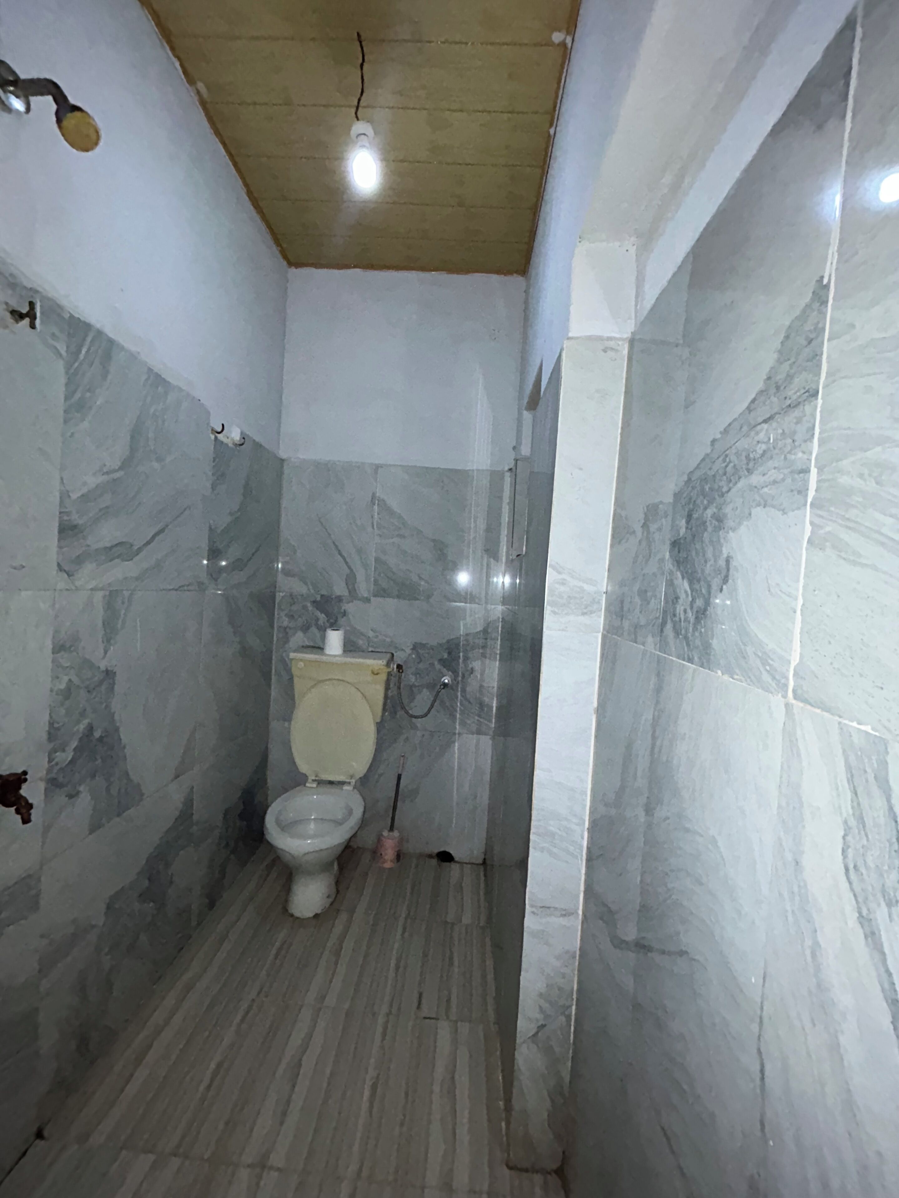 Shower, towels, toilet paper