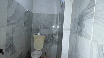 Shower, towels, toilet paper