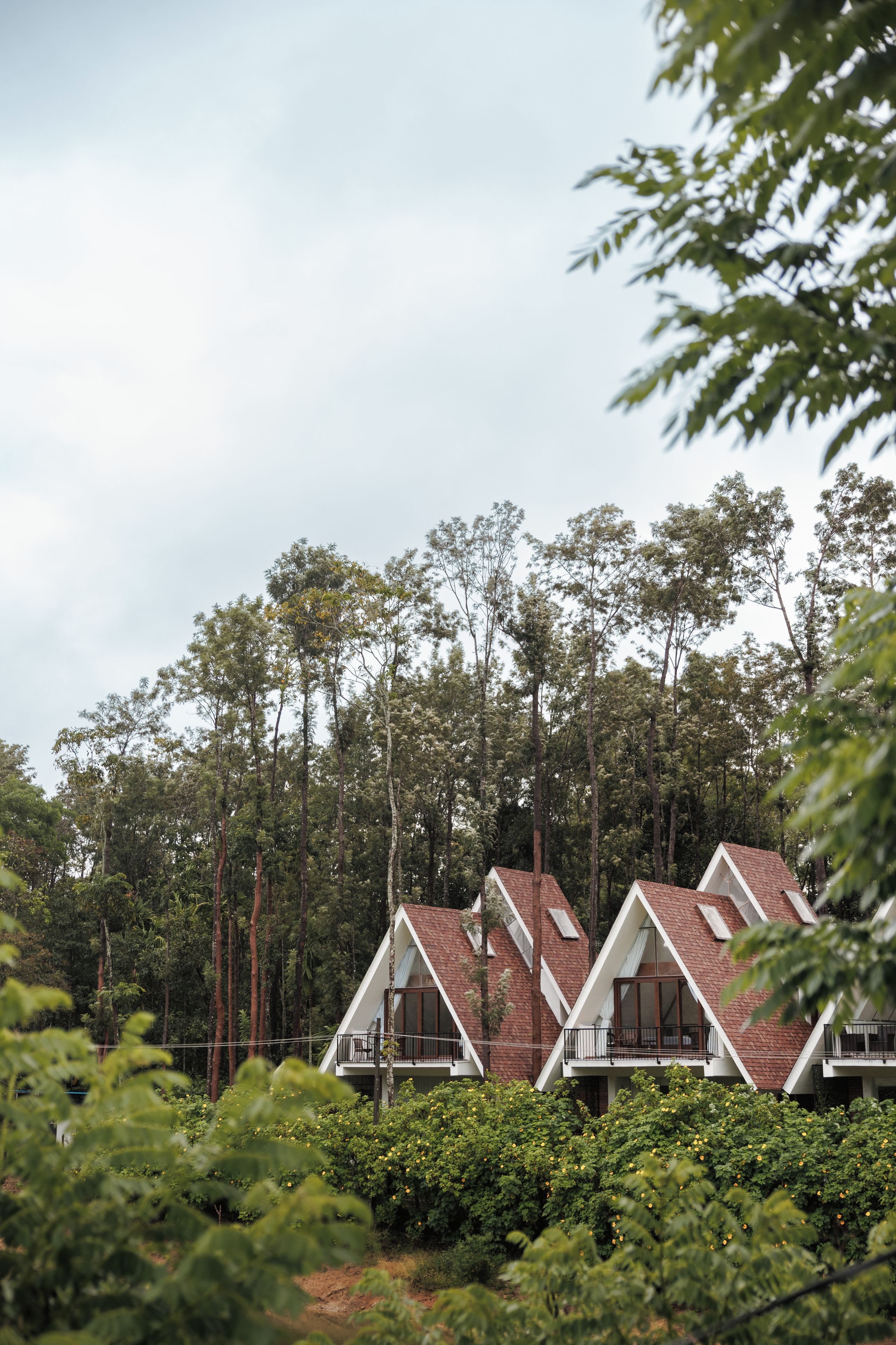 A row of modern, triangular-roofed cottages surrounded by dense forest.