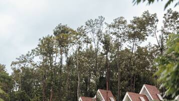 A row of modern, triangular-roofed cottages surrounded by dense forest.