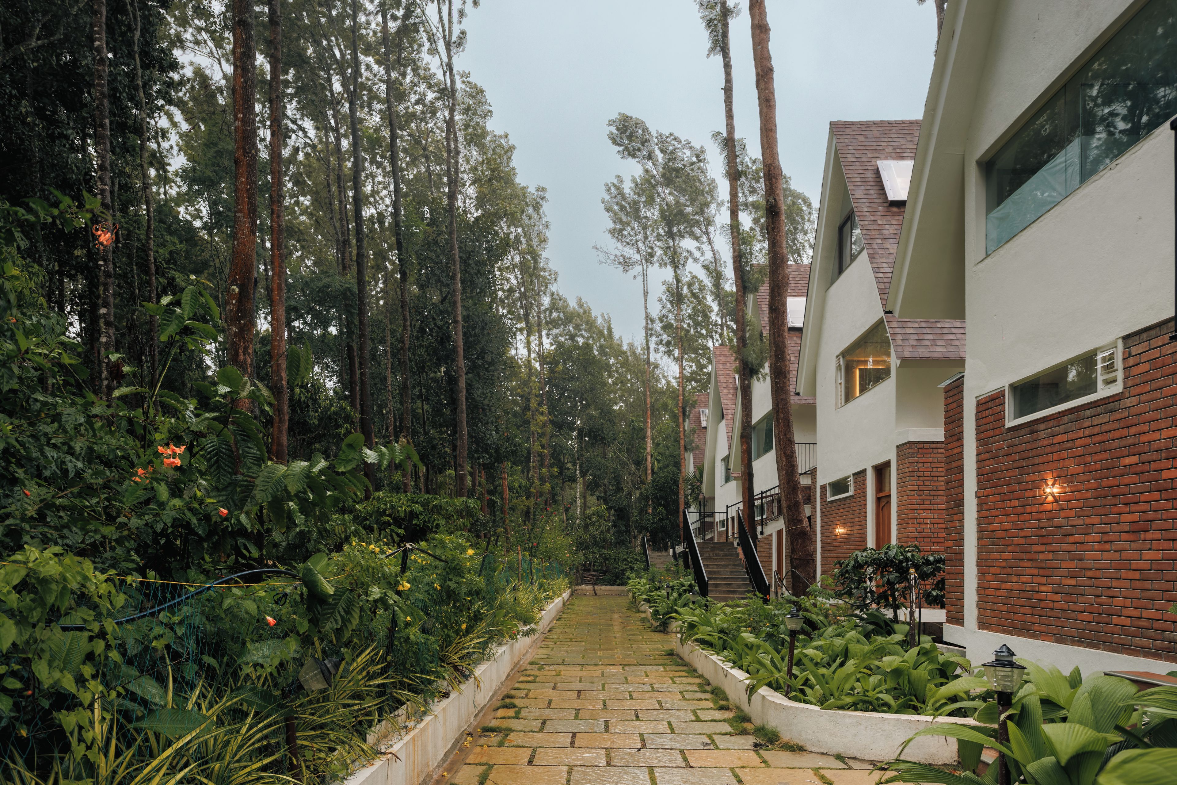 A pathway flanked by lush greenery and tall trees, leading to a modern building with a brick facade and large windows.