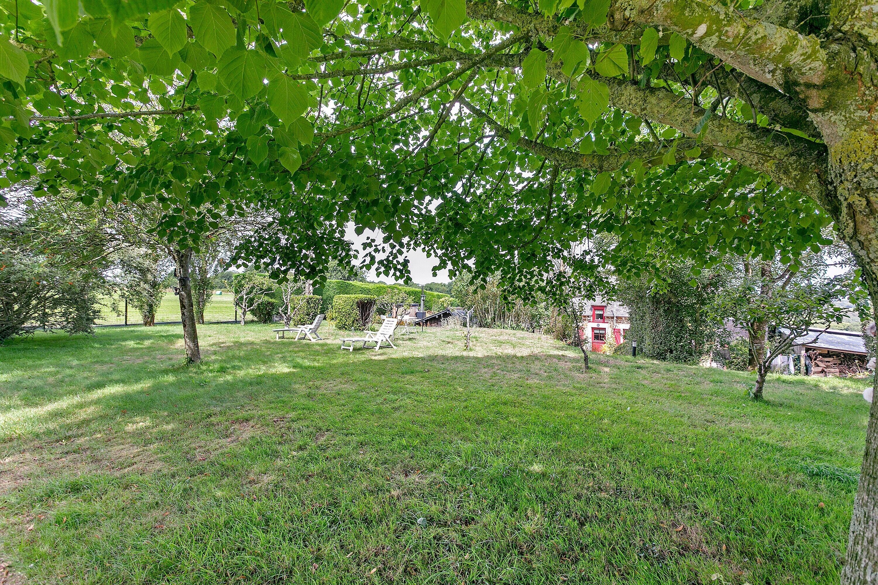 A grassy park area with trees and a red building in the background.