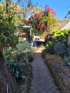 A garden pathway leading to a wooden bench.