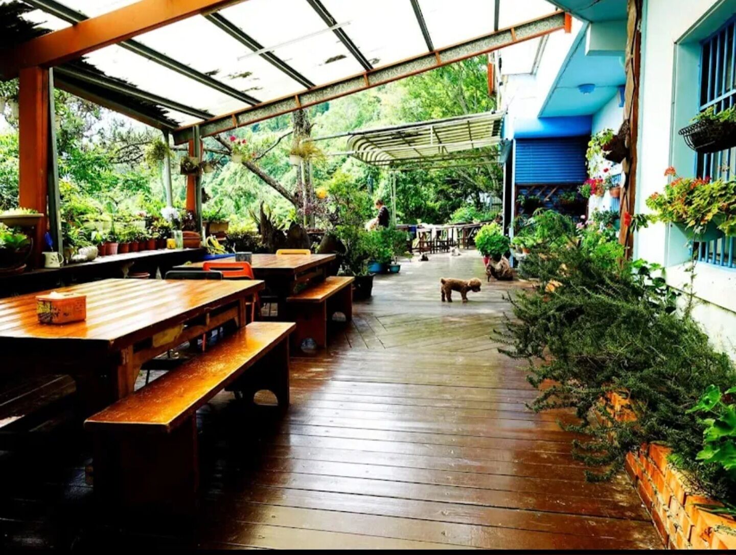 Restaurante al aire libre