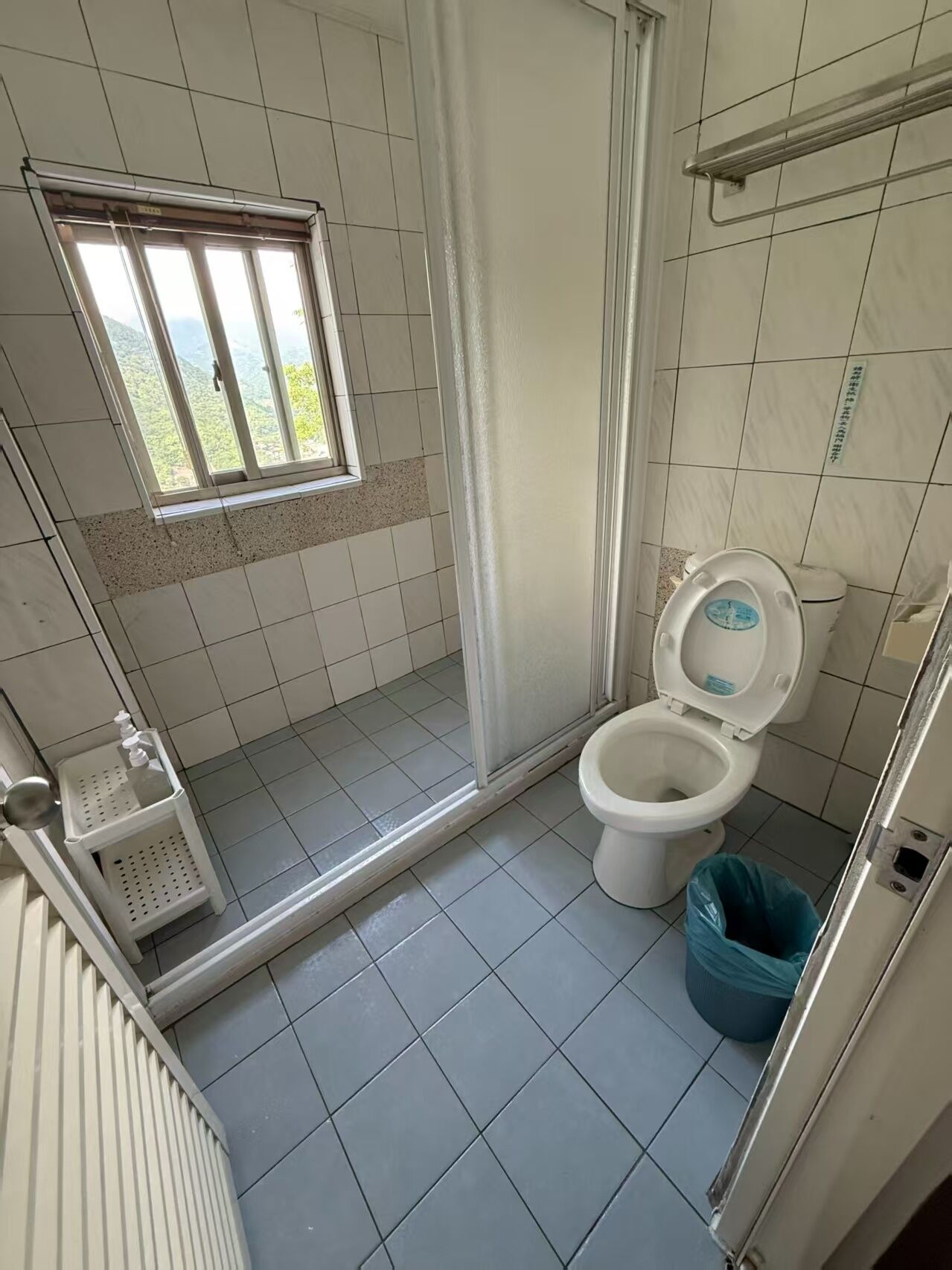 Een badkamer met toilet, douche en raam.
