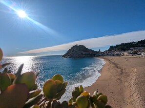 Ein Strand mit einem Felsen und Gebäuden im Hintergrund.