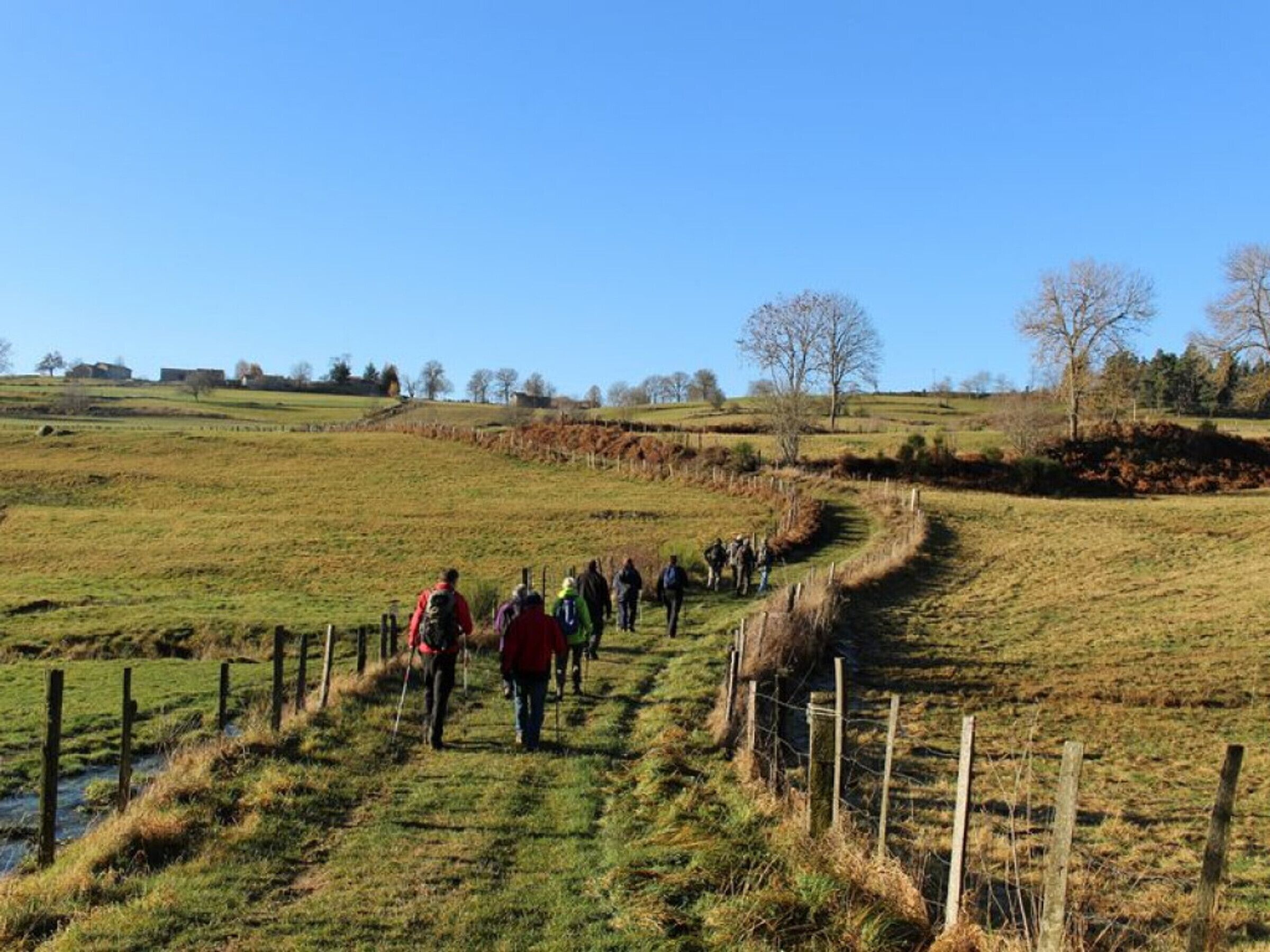 Un grupo de personas caminando por un sendero rural, rodeado de campos y cercas.