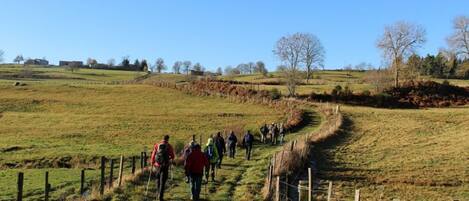 Un grupo de personas caminando por un sendero rural, rodeado de campos y cercas.