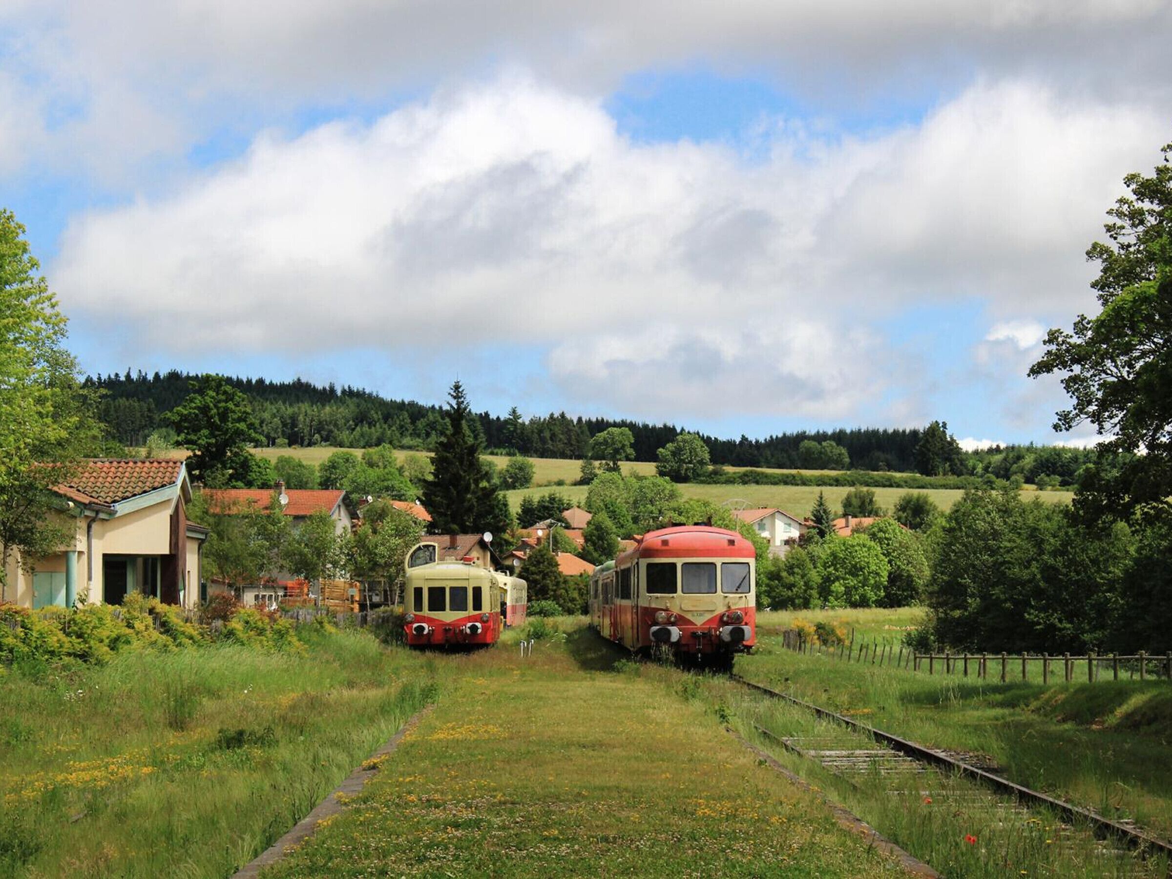 A rural train station with two vintage trains parked on the tracks, surrounded by greenery and houses.