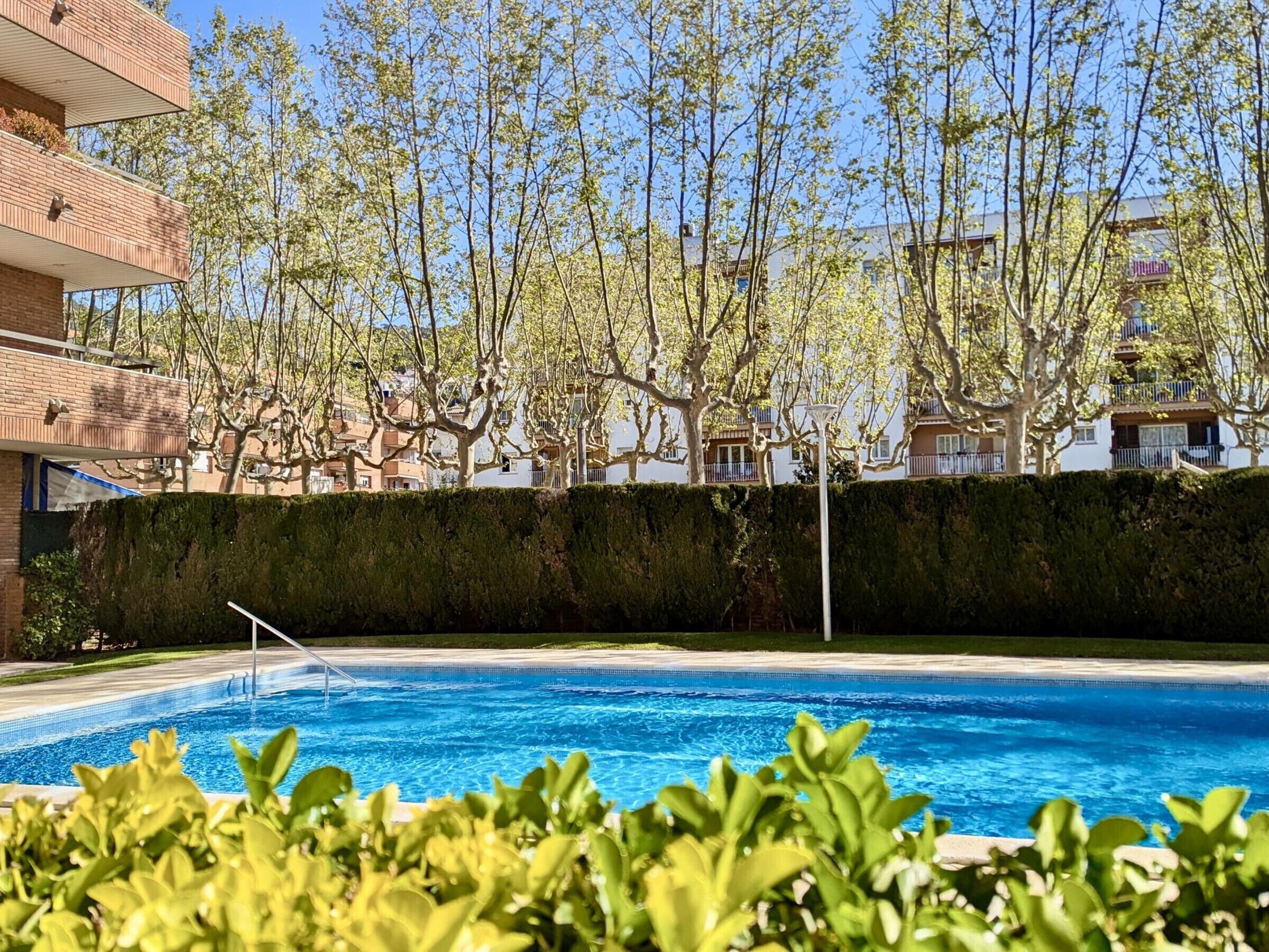 A swimming pool with a clear blue water surface, surrounded by well-maintained hedges and trees.