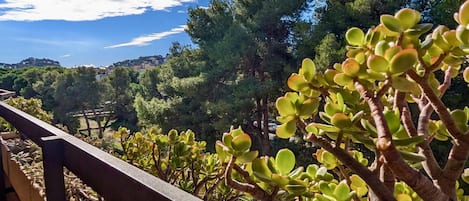 A balcony with a view of a coastal landscape, including trees and a distant town.