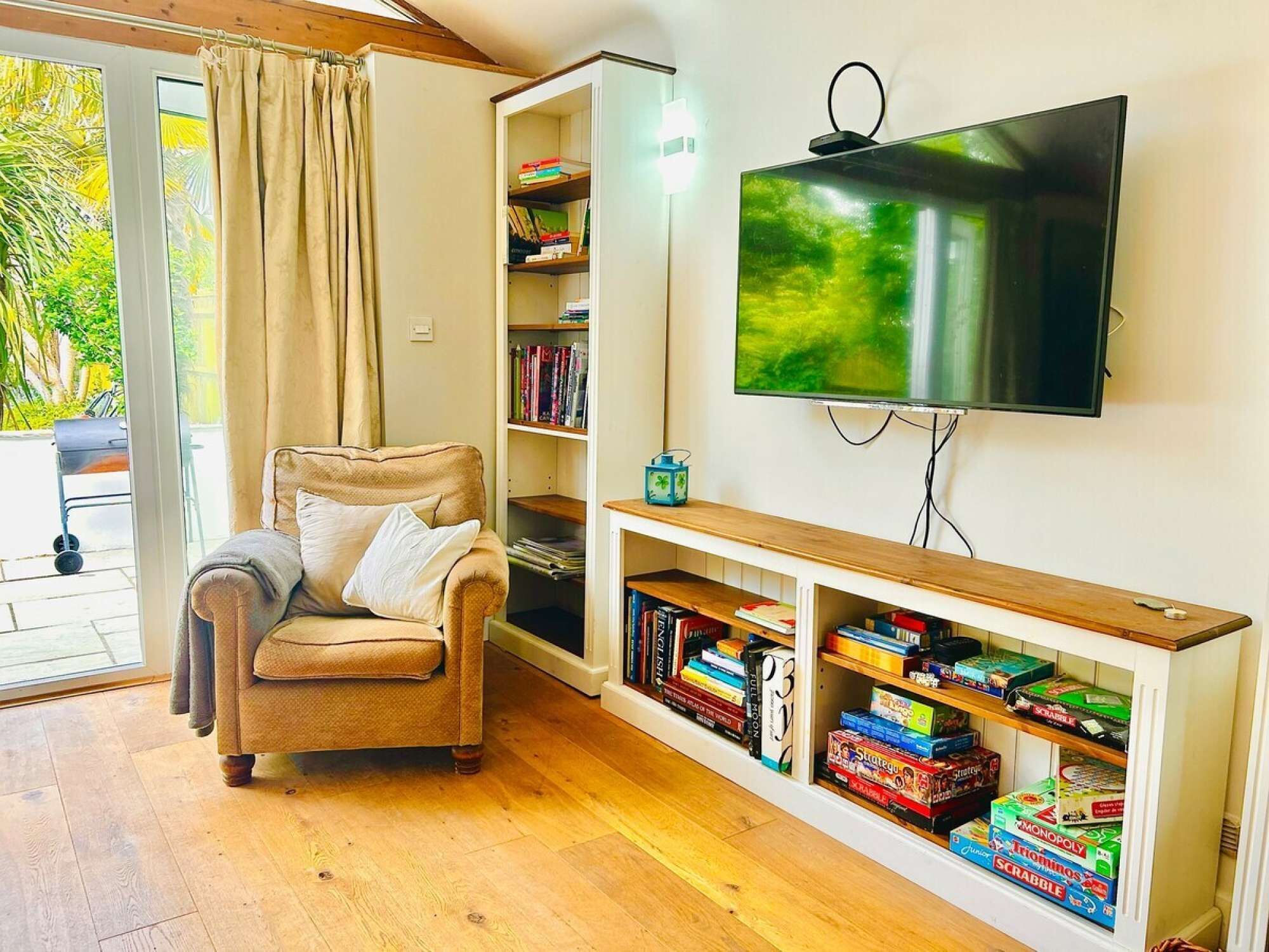 TV, fireplace, books