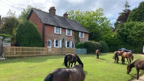 A rural setting with a brick house, a wooden fence, and horses grazing on a lawn. - Yew Tree Cottage – Direct New Forest Access, Ponies & Walk to Lyndhurst (Lyndhurst)