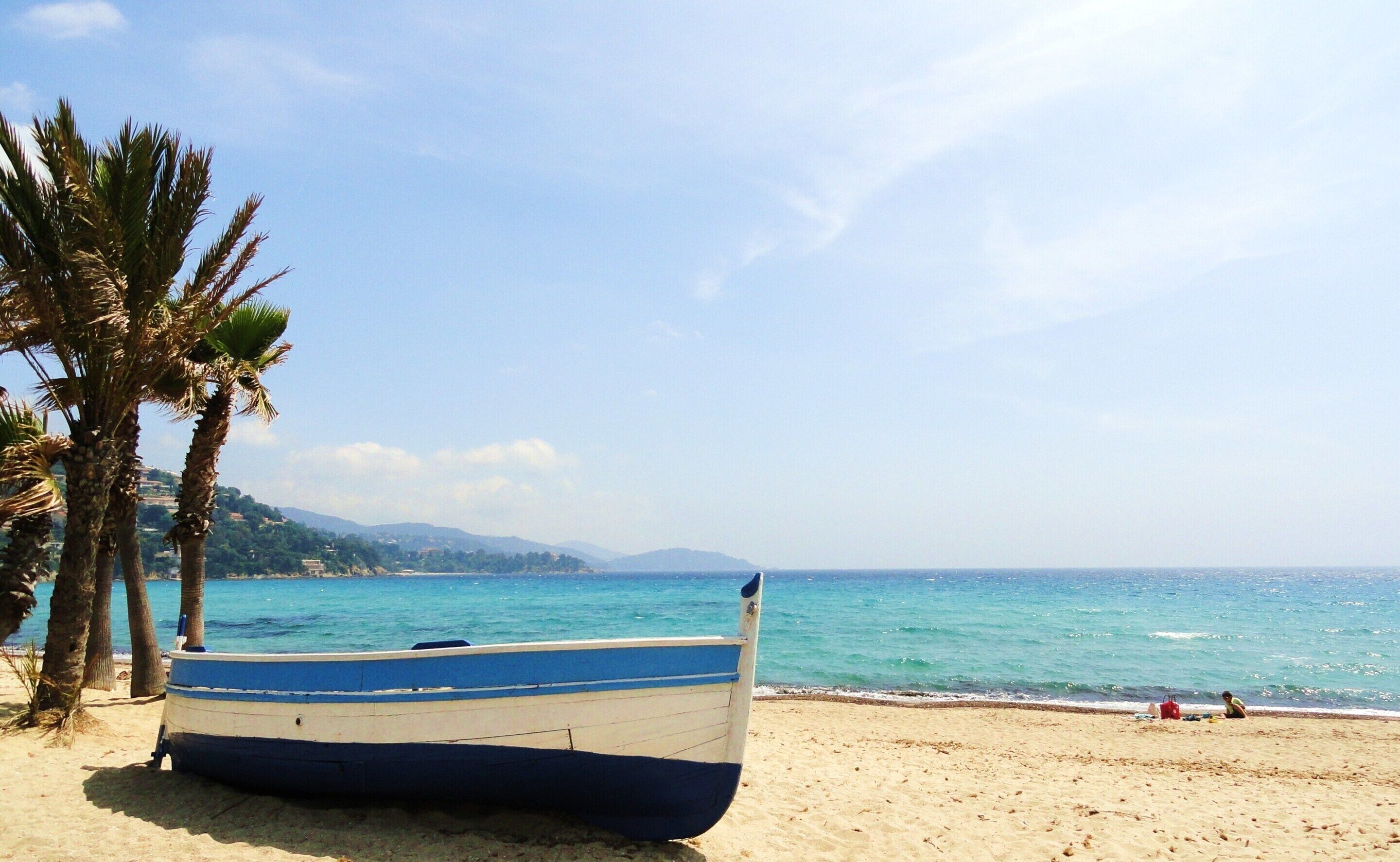 A beach with a boat, palm trees, and a clear sky.