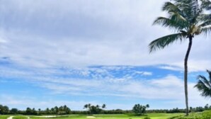A golf course with a single palm tree, a flagstick, and a clear sky. - Room-luxury Hacienda Residence Punta Can (Punta Cana)