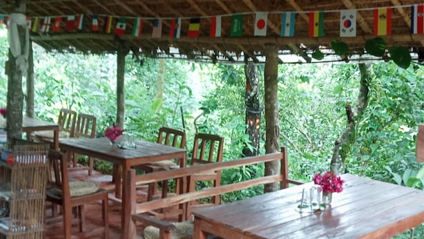Een buitenruimte met houten tafels en stoelen, een rieten dak en uitzicht op weelderige begroeiing.