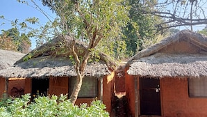 Een traditionele hut met rieten dak, een raam en een deur.