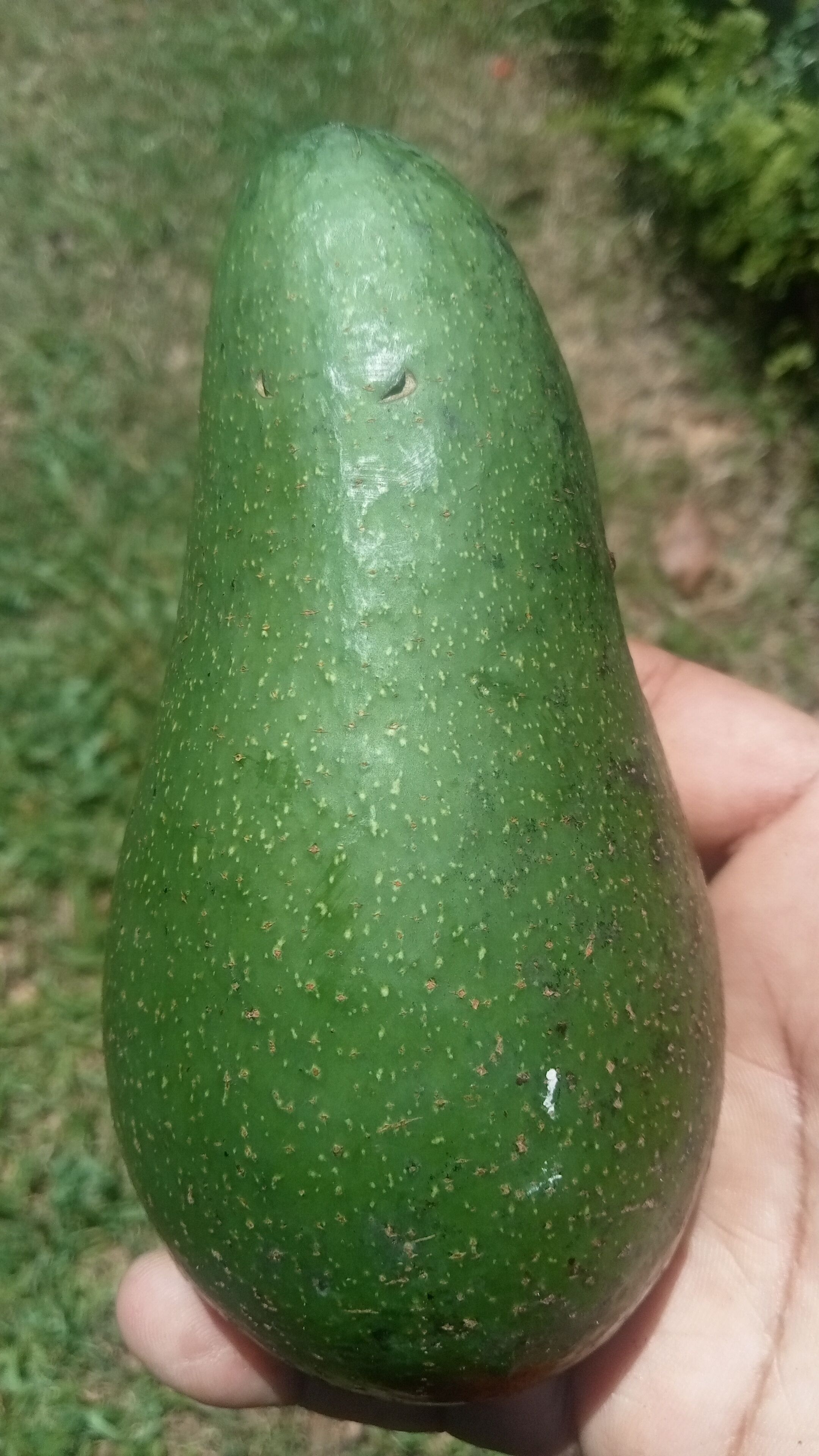 식사 및 음료