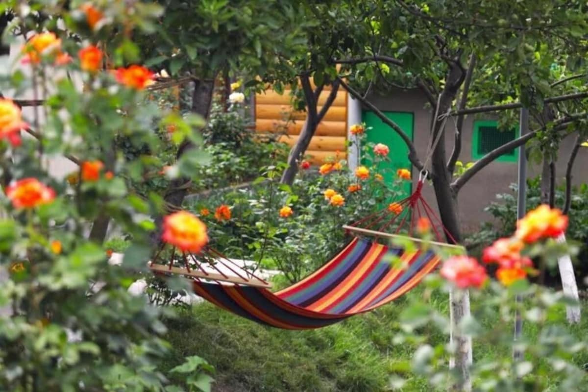 Una hamaca colgada entre árboles en un jardín con plantas en flor y una estructura de madera al fondo.