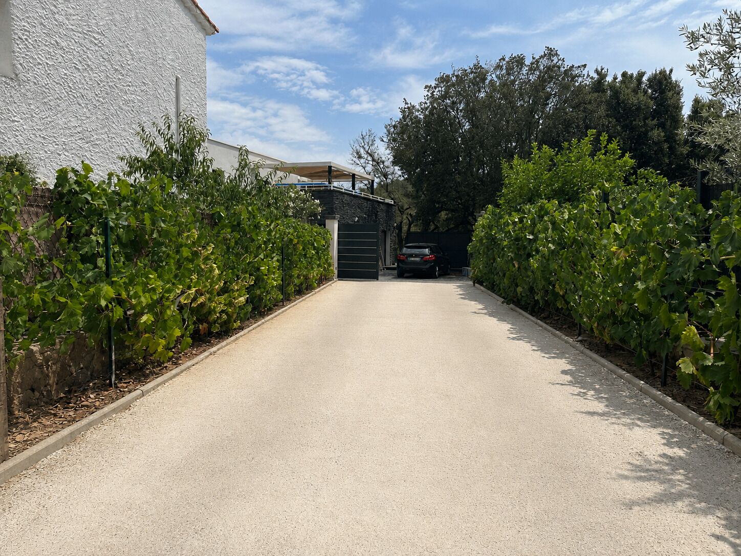 A paved driveway leading to a gated entrance, flanked by green foliage and a building with a textured wall.