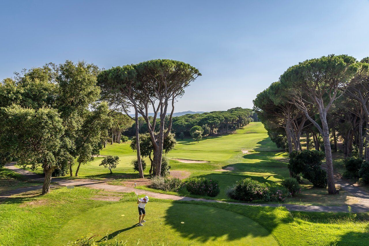 Un parcours de golf avec un chemin bien défini, des arbres et un golfeur.