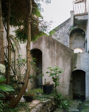 Une cour bordée de murs en pierre, agrémentée de plantes en pot et d’un arbre.