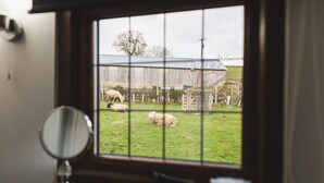 Ventana con vistas a un paisaje rural, que incluye un granero y ovejas pastando.