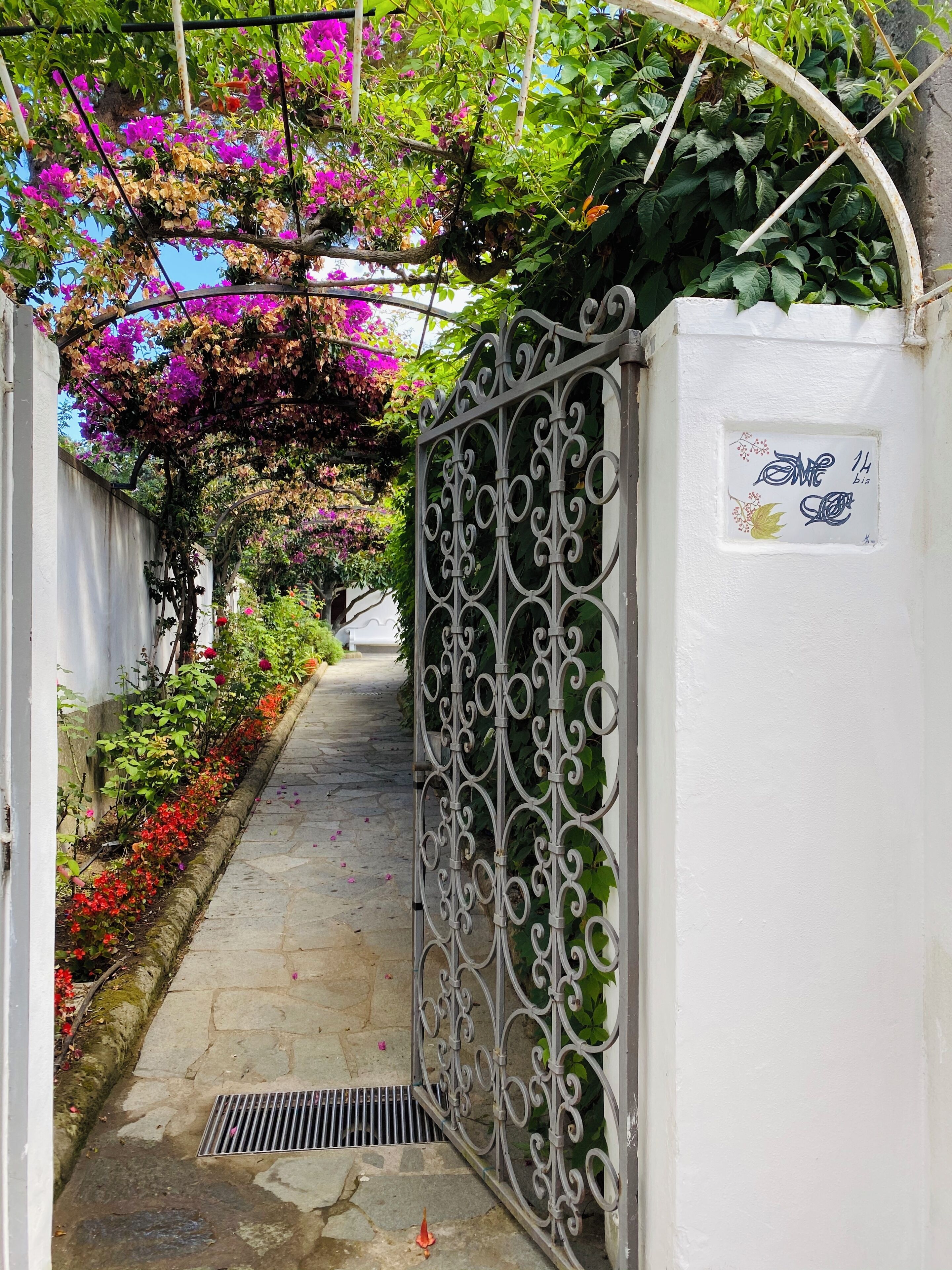 Un camino empedrado con una reja de metal, rodeado de plantas en flor y un muro blanco.