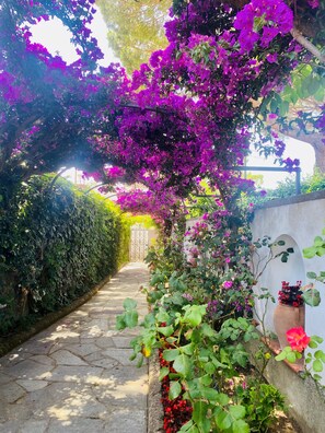 A stone pathway flanked by lush greenery and flowering plants, leading to a gated entrance. - Central Quiet Villa with Pool (Anacapri)